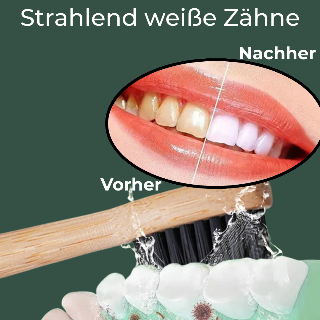 Bambus Schallzahnbürste