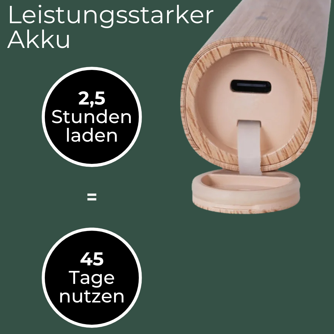 Bambus Schallzahnbürste